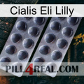 Cialis Eli Lilly 31